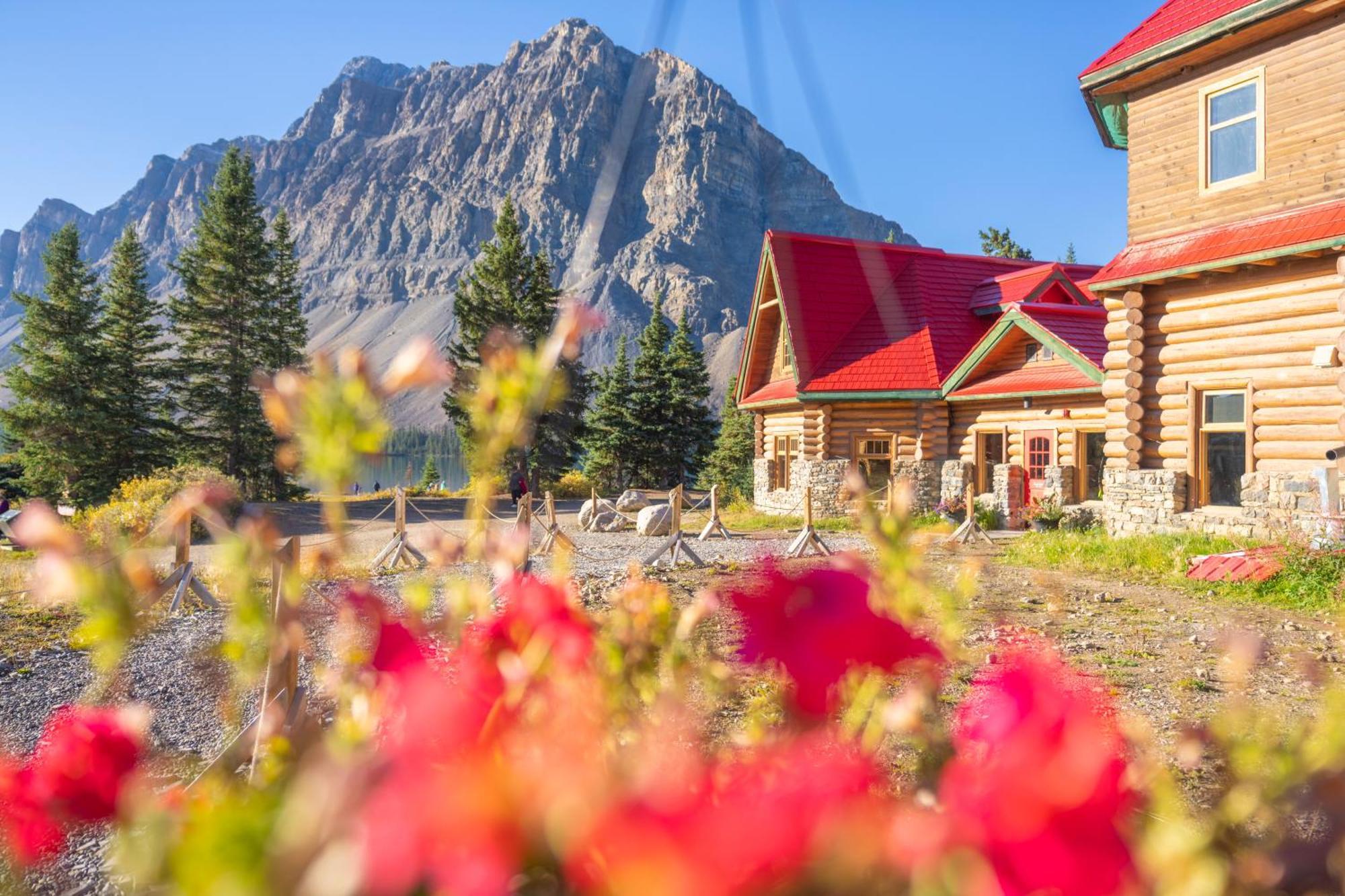 The Lodge At Bow Lake Lake Louise Exteriér fotografie