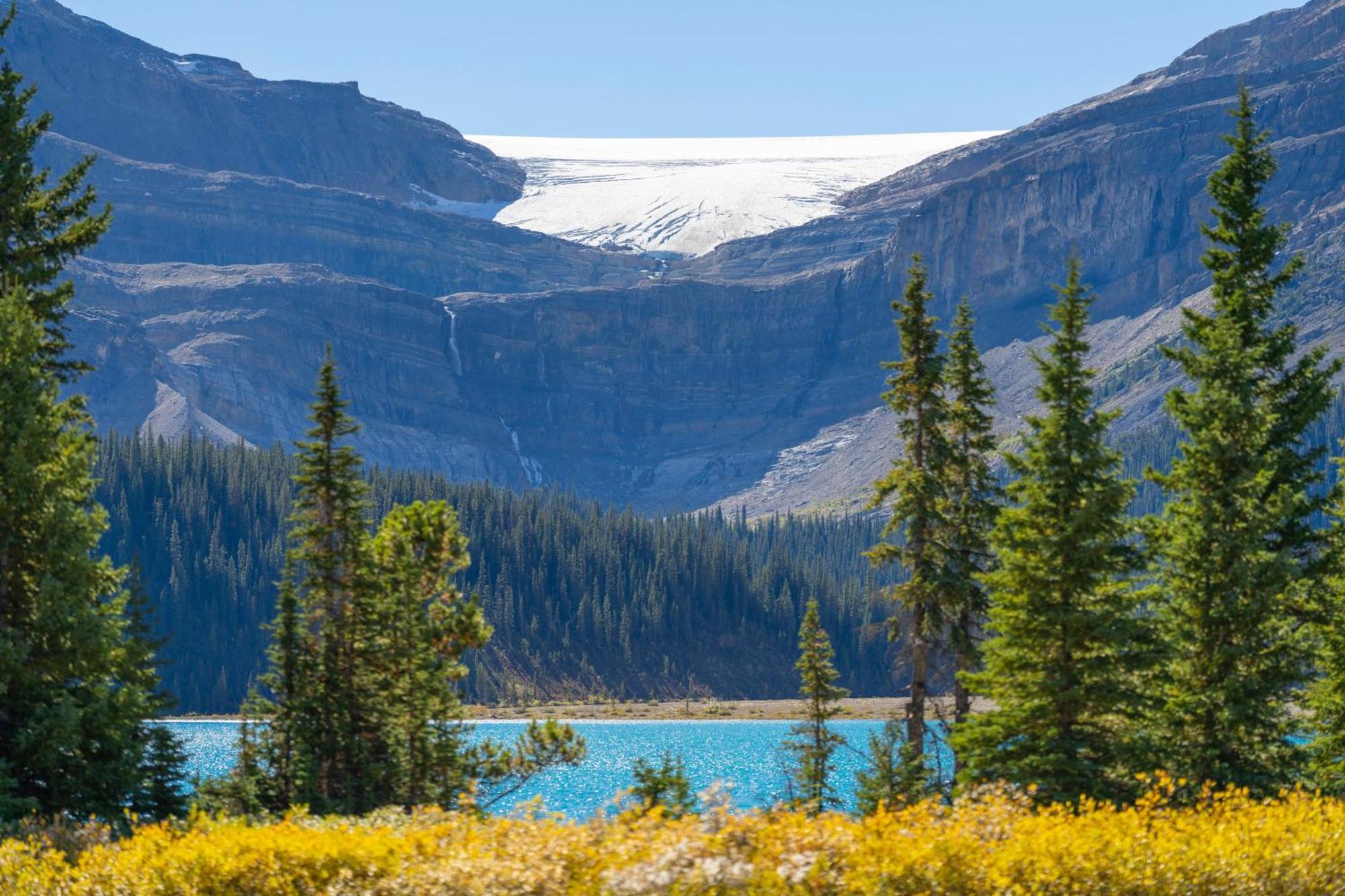 The Lodge At Bow Lake Lake Louise Exteriér fotografie